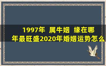 1997年  属牛姻  缘在哪年最旺盛2020年婚姻运势怎么样